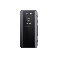 FIIO BTR13 (F3082B) Black по цене 8&nbsp;190 ₽