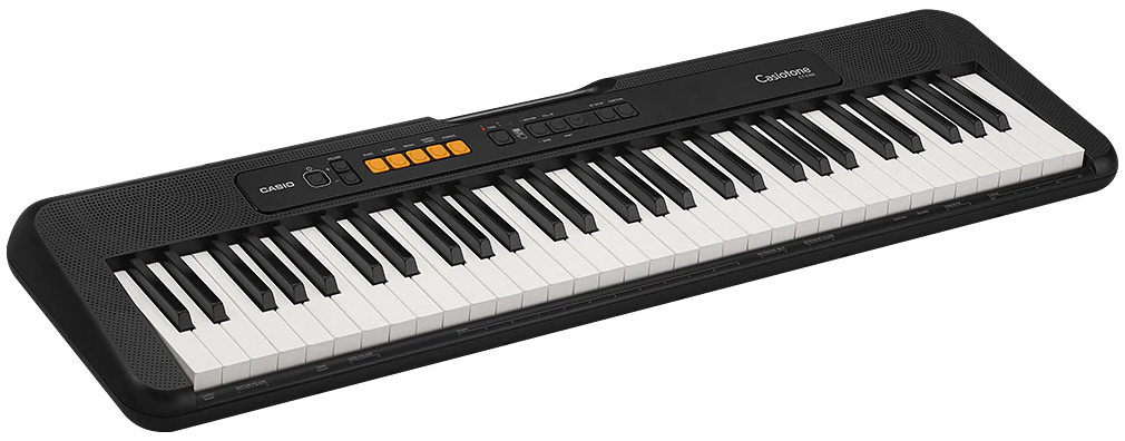 Casio CT-S100 по цене 13&nbsp;590 ₽