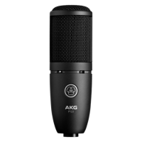 AKG P120 по цене 15&nbsp;510 ₽