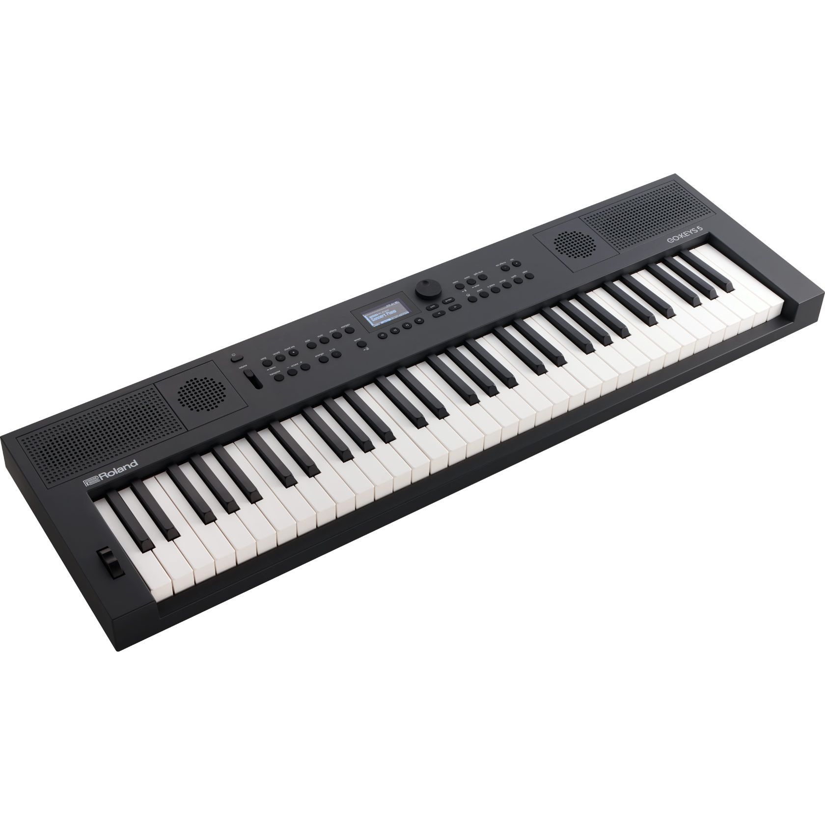 Roland Go:Keys 5 Graphite по цене 64&nbsp;830 ₽