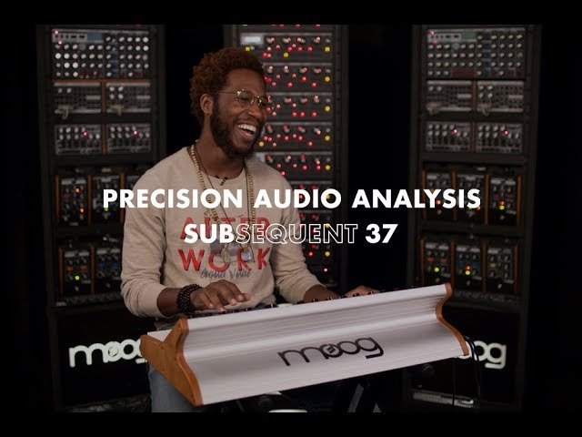 Moog Subsequent 37 по цене 201&nbsp;600 ₽