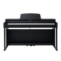Rockdale Concert Black по цене 71&nbsp;320 ₽