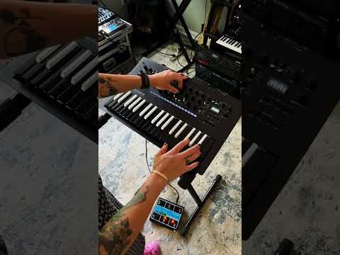 Korg Minilogue XD BW по цене 96&nbsp;600 ₽