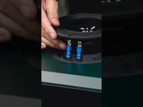 Antelope Audio Atlas i8 по цене 239&nbsp;990 ₽