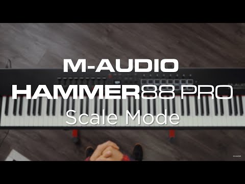 M-AUDIO Hammer 88 Pro по цене 111&nbsp;120 ₽