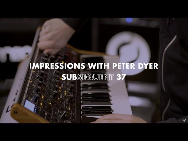 Moog Subsequent 37 по цене 201&nbsp;600 ₽