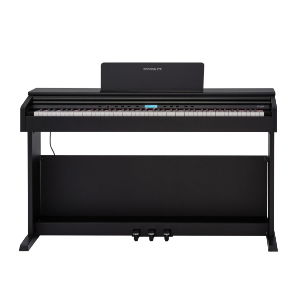 Rockdale Etude 256 BK по цене 57&nbsp;790 ₽