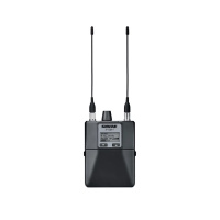 Shure P10R+ G10E по цене 137&nbsp;650 ₽
