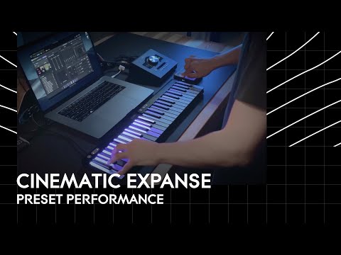 Dan Clark Audio Expanse по цене 440&nbsp;000 ₽