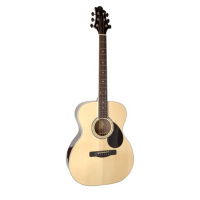 Greg Bennett GOM100S/N по цене 21&nbsp;170 ₽