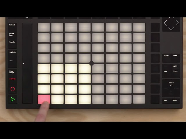 Ableton Push 2 + Live 11 Suite по цене 68&nbsp;900 ₽