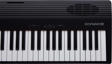 Roland GO-88P по цене 74&nbsp;990 ₽