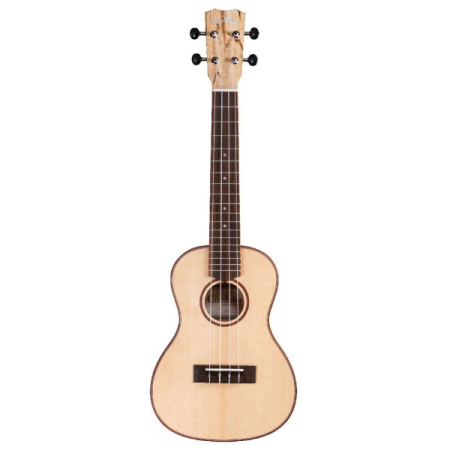 CORDOBA 24C Spruce по цене 30&nbsp;240 ₽