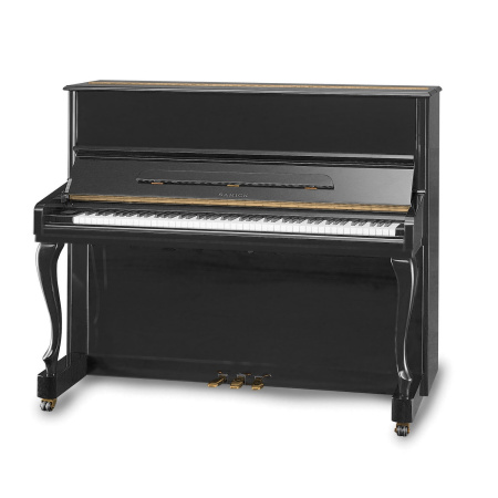 Samick JS121FD/EBHP по цене 639&nbsp;990 ₽