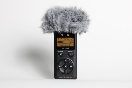 Tascam WS-11 по цене 1&nbsp;740 ₽