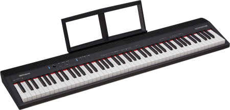 Roland GO-88P по цене 74&nbsp;990 ₽