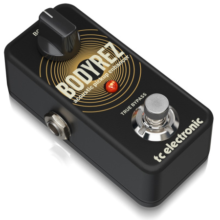 TC Electronic BodyRez Acoustic Pickup Enhancer по цене 10&nbsp;790 ₽