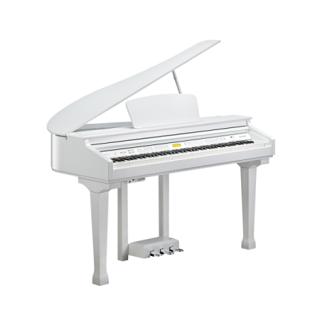 Kurzweil KAG100 WHP по цене 279&nbsp;990 ₽