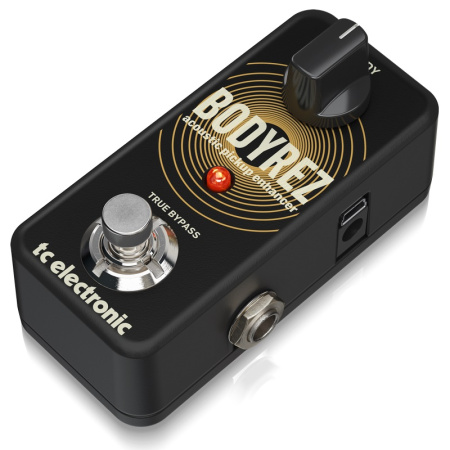 TC Electronic BodyRez Acoustic Pickup Enhancer по цене 10&nbsp;790 ₽