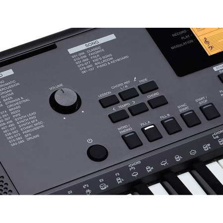 Medeli MK200 по цене 12&nbsp;790 ₽