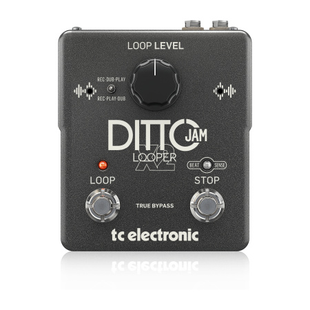 TC Electronic DITTO JAM X2 LOOPER по цене 23&nbsp;990 ₽