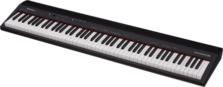 Roland GO-88P по цене 74&nbsp;990 ₽