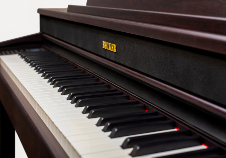 Becker BAP-62R по цене 171&nbsp;900 ₽