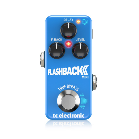 TC Electronic FLASHBACK 2 MINI DELAY по цене 11&nbsp;190 ₽