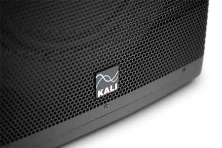 Kali Audio WS-12 по цене 91&nbsp;990 ₽