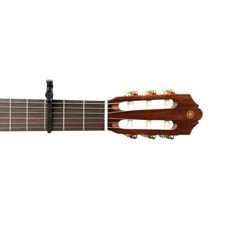 Planet Waves PW-CP-13 по цене 3&nbsp;050 ₽