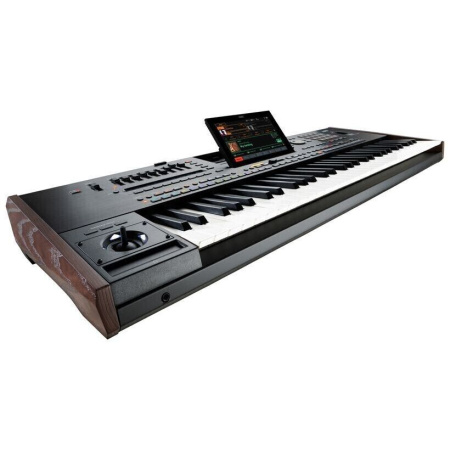 Korg Pa5X 61 по цене 458&nbsp;850 ₽