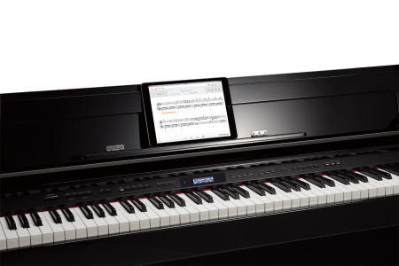 Roland DP603-CB по цене 232&nbsp;040 ₽