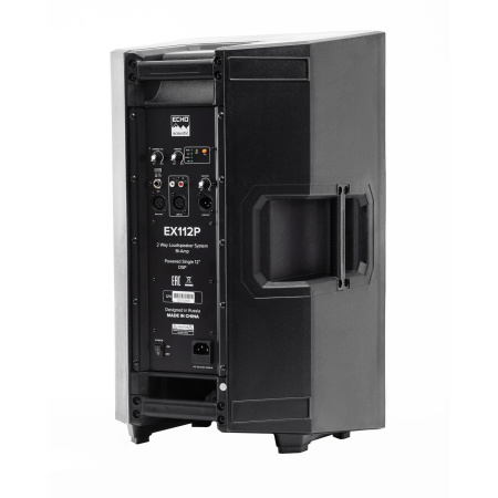 Echo Acoustic EX112P по цене 33&nbsp;740 ₽