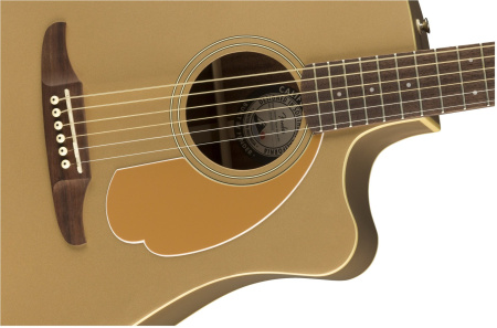 Fender Redondo Player Bronze Satin по цене 50&nbsp;690 ₽