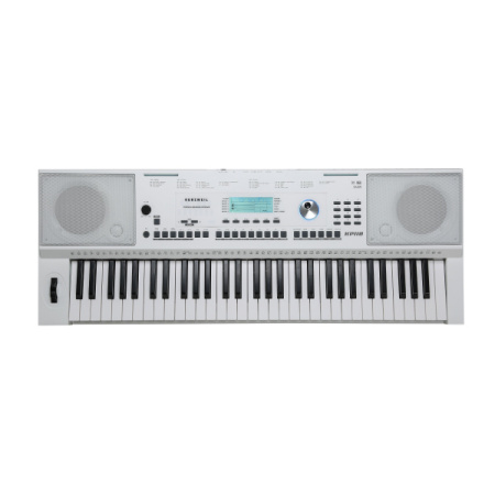 Kurzweil KP110 White по цене 27&nbsp;990 ₽
